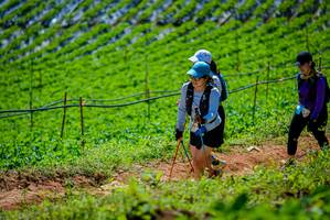 BIB: 
                            <button type="button" onclick="openModal(19164269)" class="btn btn-primary btn-sm float-right btn-popup" data-toggle="modal" data-target=".modal-high-quality">
                        <i class="fas fa-shopping-cart"></i> Add to Cart
                    </button>
                                            <button type="button" onclick="isThisMe(19164269, true)" class="btn btn-success btn-sm float-right btn-popup btn-isme hidden" data-toggle="tooltip" data-placement="bottom" title="นี่คือรูปของคุณใช่ไหม คลิกที่นี่เพื่อเอาเข้าอัลบั้ม">
                        <i class="fas fa-plus"></i> Add to album
                    </button>
                    <button type="button" onclick="isThisMe(19164269, false)" class="btn btn-warning btn-sm float-right btn-popup btn-isnotme hidden">
                        <i class="fas fa-ban"></i> Remove from album
                    </button>